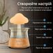 Зволожувач повітря Rainfall гриб Бамбук ЗВП CH06-b фото 4