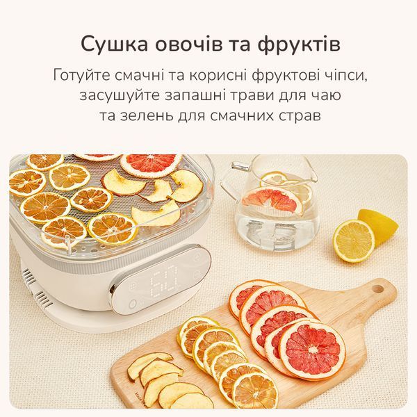 Паровой стерилизатор-подогреватель бутылок, мини пароварка и сушка для фруктов HL-2011 фото